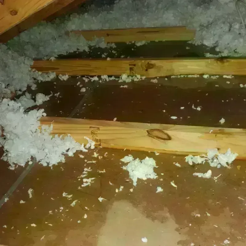 Attic Water Damage in Carthage, TN